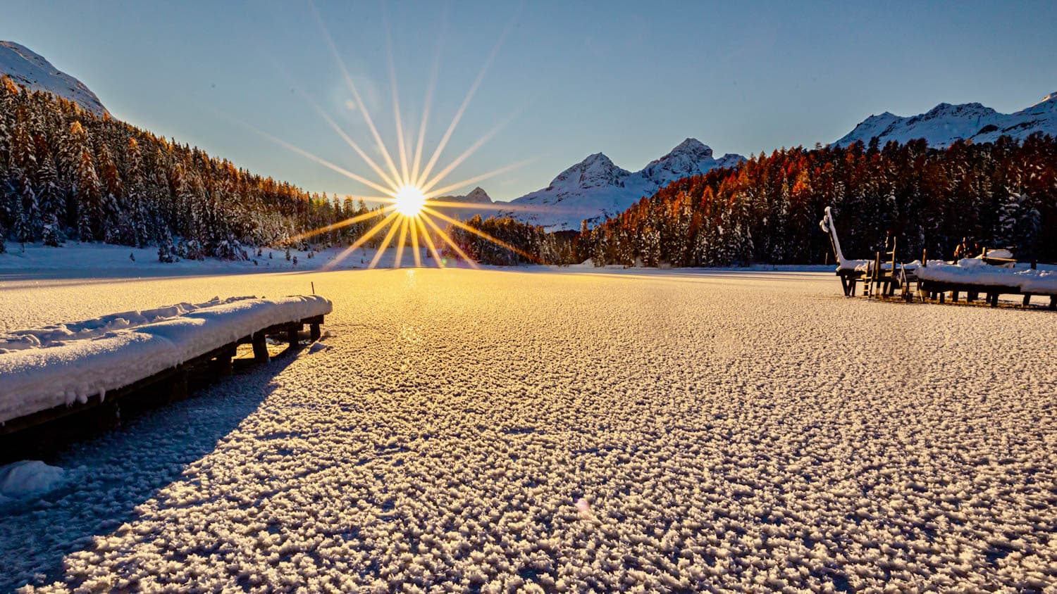 Stazersee Eisrosen